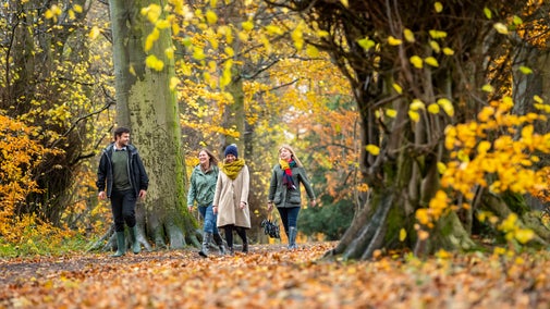 A group of people walking through a woodland in full autumn colour.